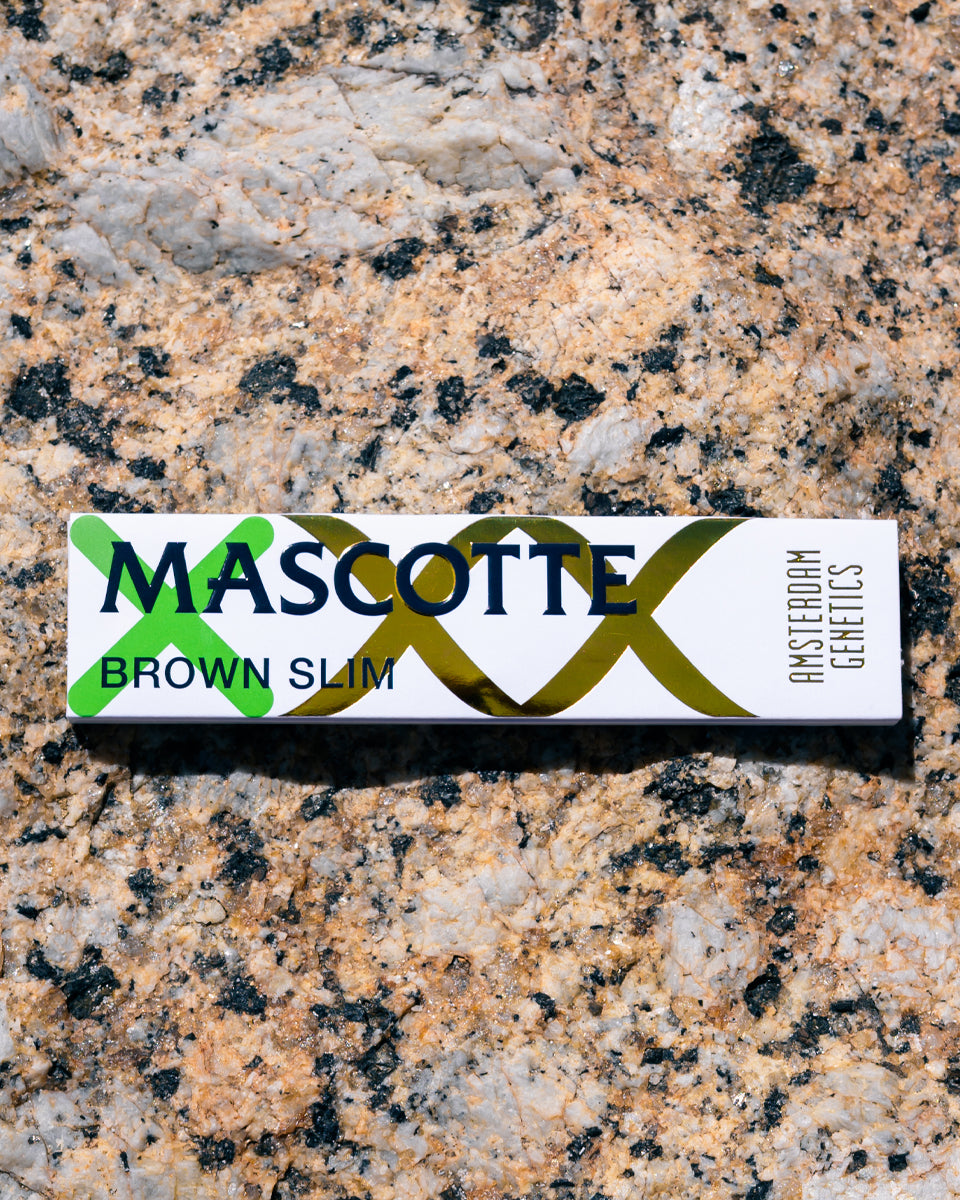 Mascotte x Amsterdam Genetics Brown Slim