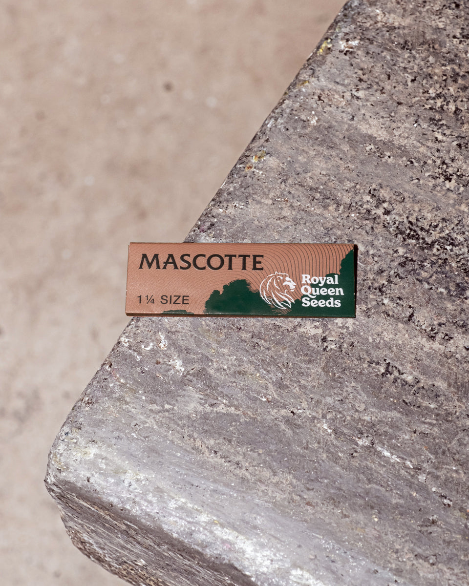 Mascotte x RQS Brown 1 ¼