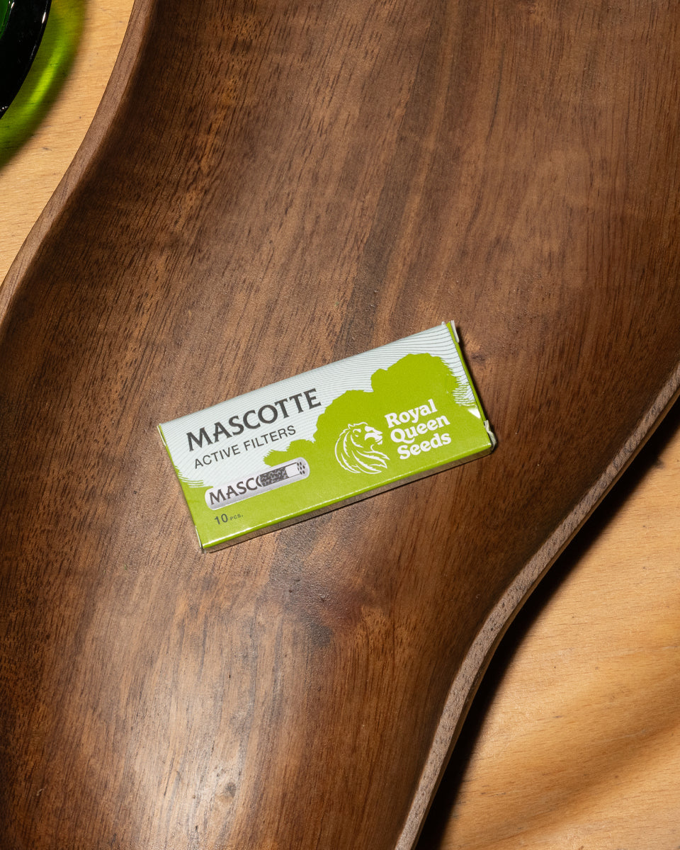 Mascotte x RQS Active Filters 10
