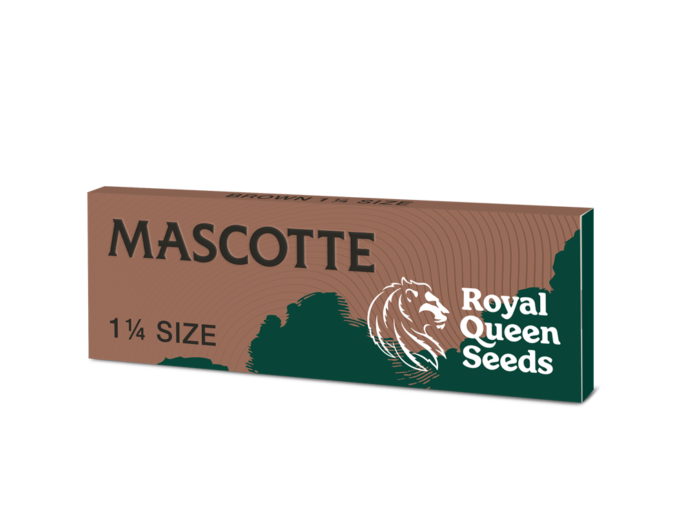 Mascotte x RQS Brown 1 ¼