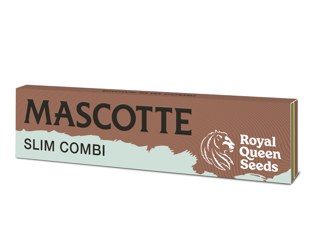 Mascotte x RQS Brown Slim Combi