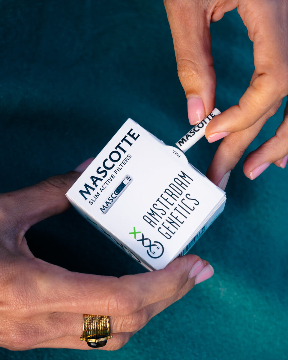 Mascotte x Amsterdam Genetics Active Filters