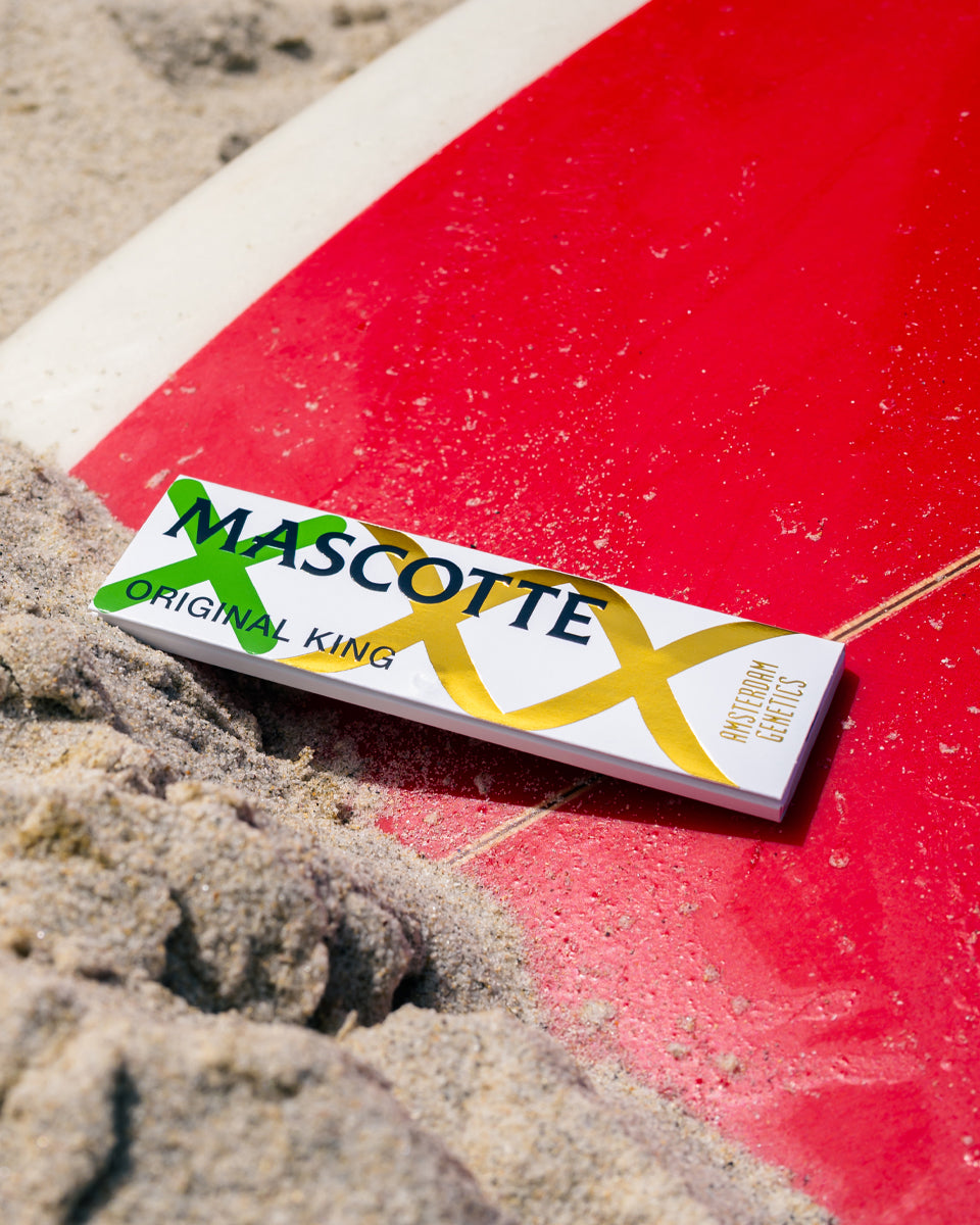 Mascotte x Amsterdam Genetics Original King