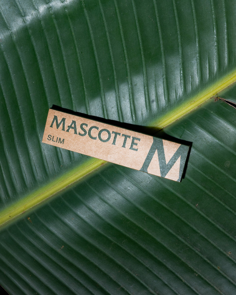 Mascotte Brown Slim