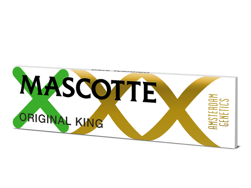 Mascotte x Amsterdam Genetics Original King