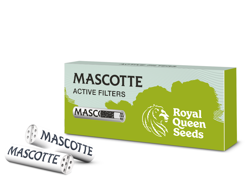 Mascotte x RQS Active Filters 10