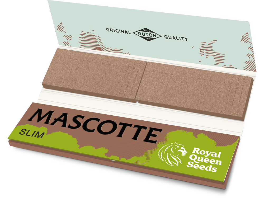 Mascotte x RQS Brown Slim Combi